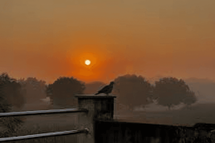 Aaj Bihar ka Mausam: कोहरे की चादर में लिपटा बिहार, गुलाबी ठंड की दस्तक, मॉनसून की विदाई करीब