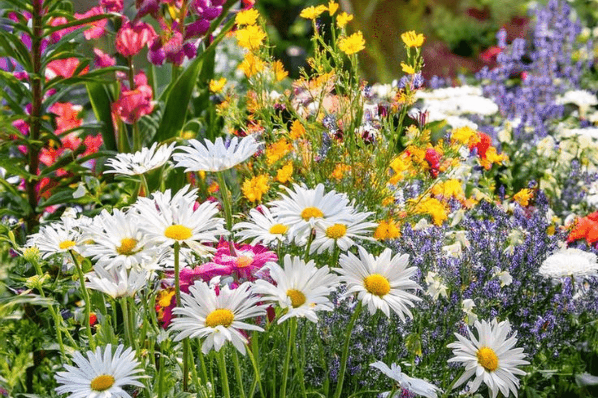 Gardening Tips