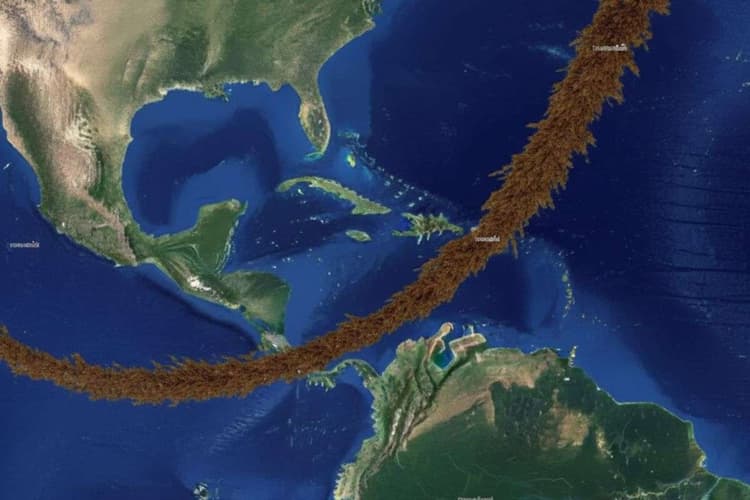 अटलांटिक महासागर में अलार्म! 8850 किलोमीटर लंबा ‘भूरा रिबन’ बढ़ा, पर्यावरण और मछली पालन पर संकट