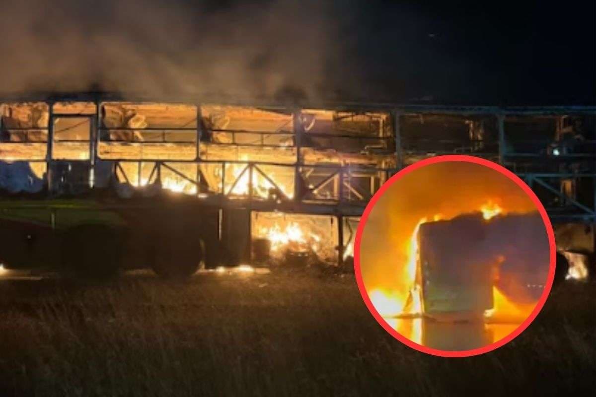 Road Accident : बाइक से टक्कर के बाद बस में लगी आग, कई लोग पूरी तरह से जले, डरावना वीडियो आया सामने