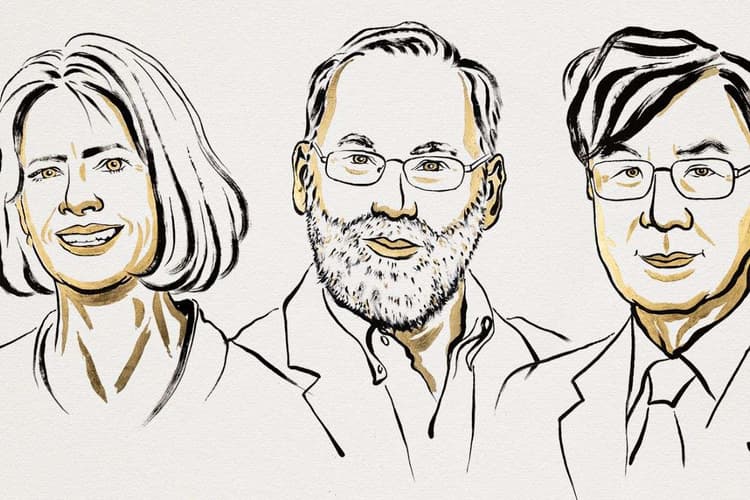 नोबेल मेडिसिन पुरस्कार घोषित, तीन वैज्ञानिकों को मिला सम्मान, किस खोज के लिए हुए सम्मानित?