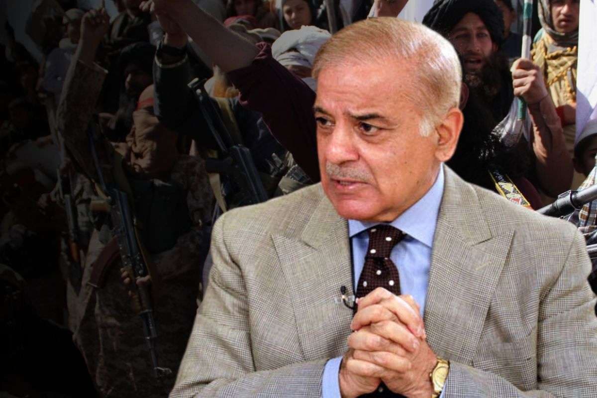 अमेरिकी ड्रोन का कबूलनामा! तालिबान-टीटीपी के जाल में फंसा पाकिस्तान, अब वॉशिंगटन की याद में बौखलाया इस्लामाबाद