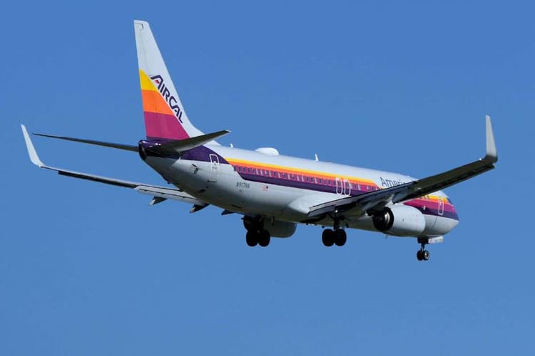 पायलट को लगा हाईजैक का डर, करा दी इमरजेंसी लैंडिंग, सच सामने आते ही उड़े होश