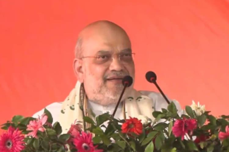 Bihar Election 2025: 100 शहाबुद्दीन आ जाए फिर भी किसी का बाल बांका नहीं होगा, सिवान में अमित शाह का दावा