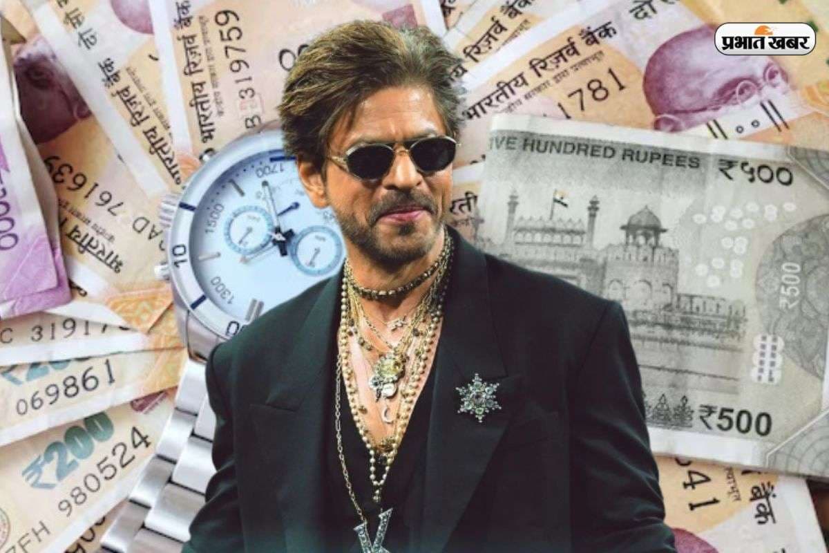 Shahrukh Khan Net Worth: कितनी दौलत के मालिक हैं किंग खान, क्या है उनकी कमाई का राज?