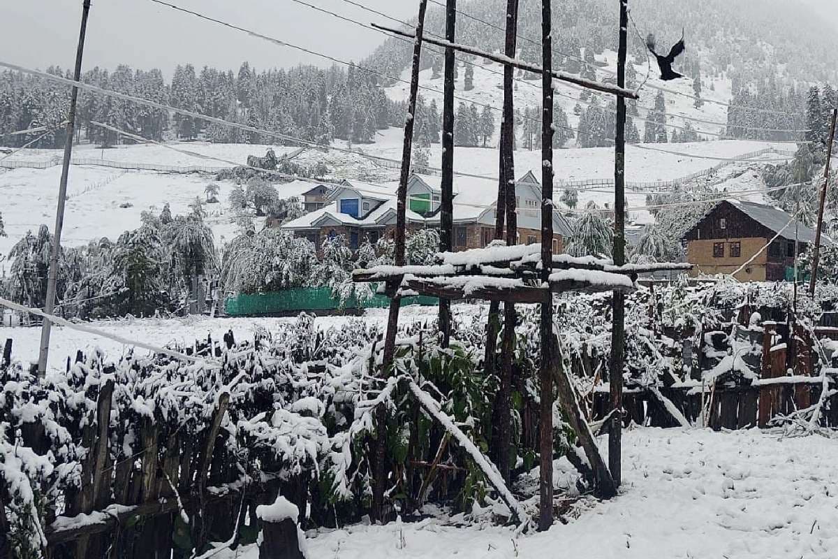 Snowfall IMD Alert Snowfall IMD Alert