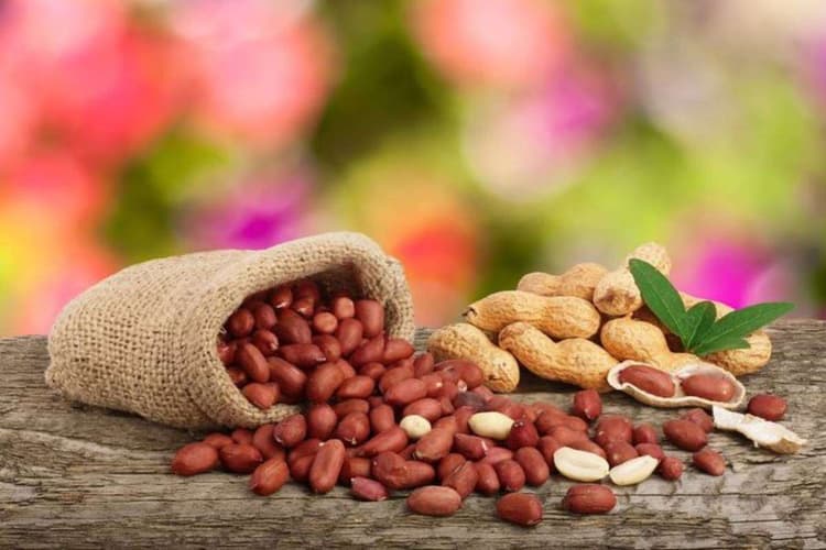 Tips to Store Peanuts at Home: इस तरह करें मूंगफली को स्टोर साल दो साल नहीं होगी खराब - जानें तरीके