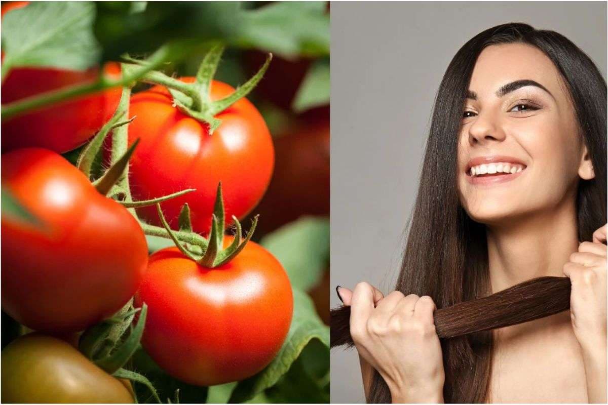 Tomato For Hair Growth: बाल उगाने के लिए न करें हजारों का खर्च,महज 10 रुपये का टमाटर रोकेगा गंजापन,जानें तरीका