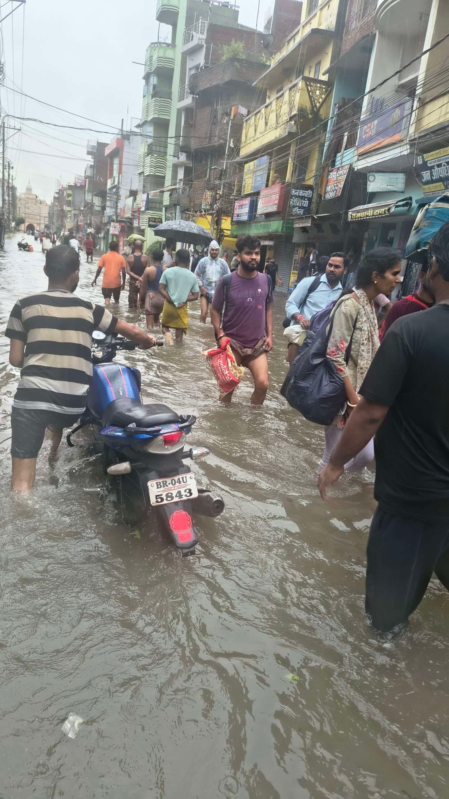 saran news. लगातार हुई बारिश से कमर तक जलजमाव, कई घर व पेड़ गिरे