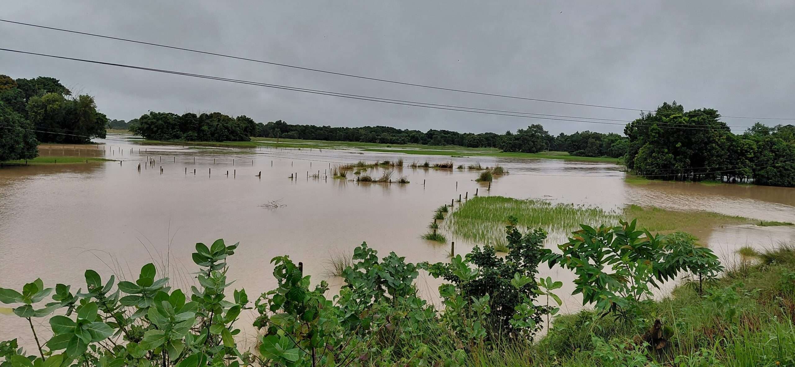 Madhubani News : कमला नदी खतरे के निशान से 1.67 मीटर ऊपर, लोगों में दहशत