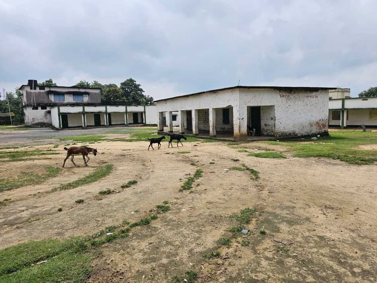 Giridih News :उत्क्रमित कन्या उवि के 440 विद्यार्थियों को पढ़ाते हैं चार शिक्षक