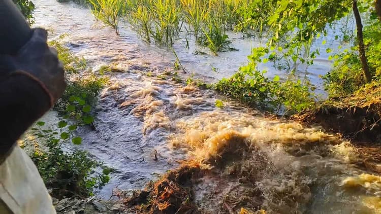 Motihari: सुगौली में बांध ध्वस्त, गांव में फैला बाढ़ का पानी