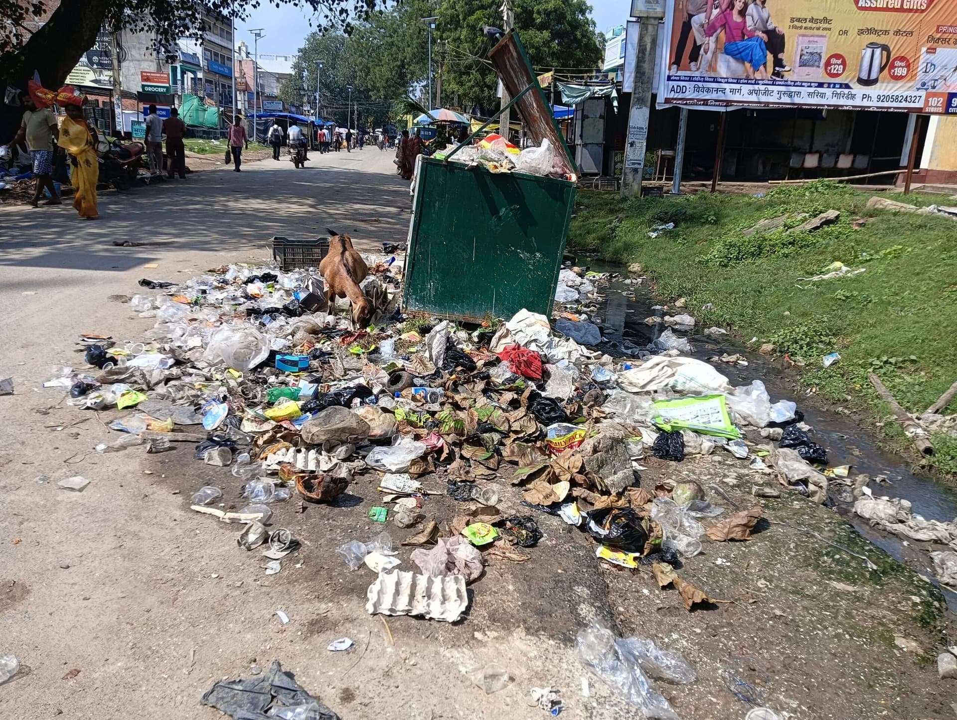 Giridih News :सरिया की सड़कों पर कचरे का अंबार, सफाई की मांग
