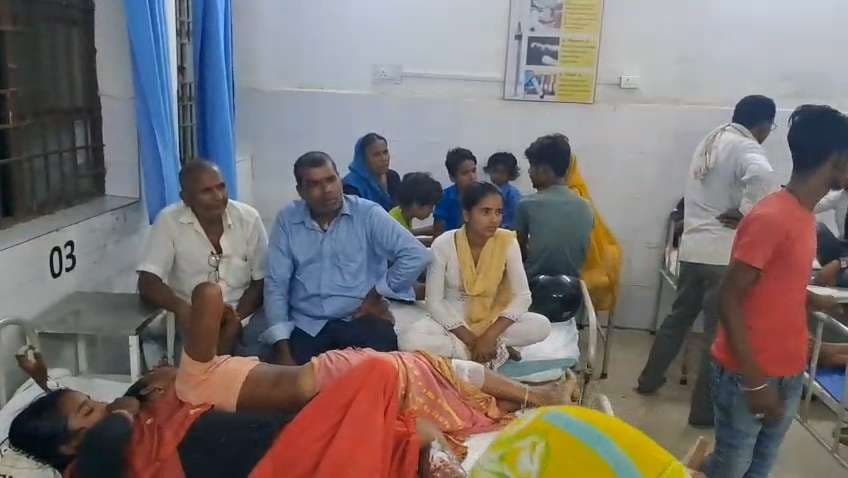 आवारा कुत्ते ने 14 लोगों को काटकर किया घायल