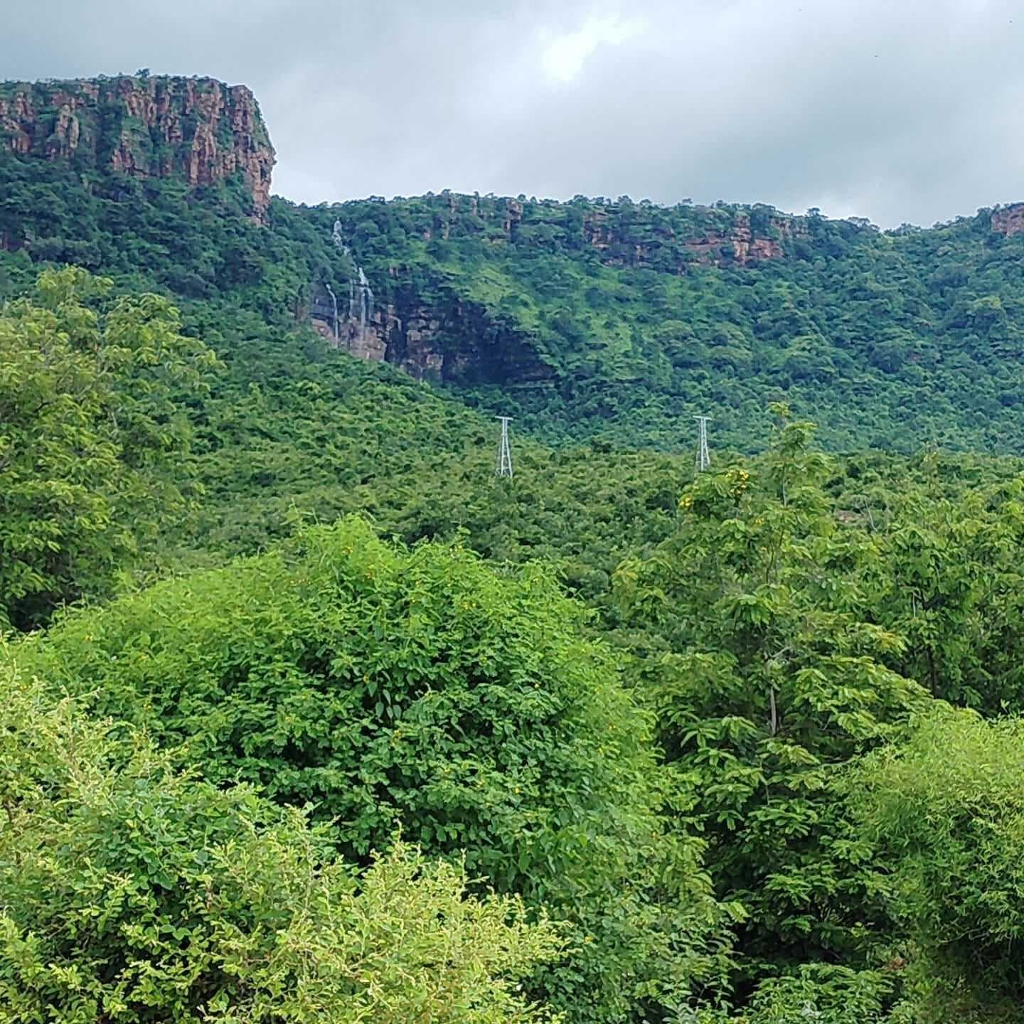 sasaram News : बिजली, पानी व स्वास्थ्य की सुविधा नहीं होने से पलायन कर रहे वनवासी