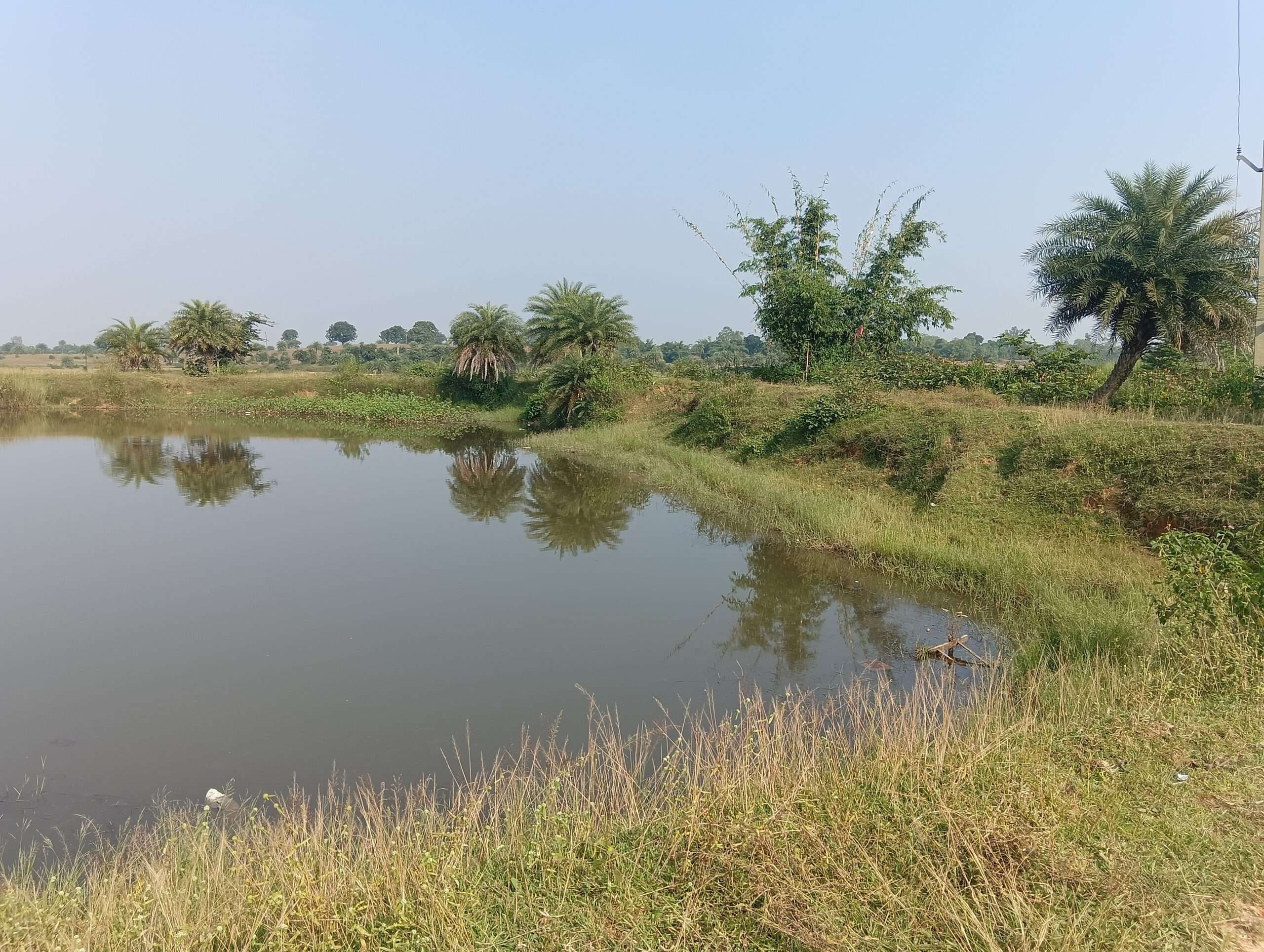 Giridih News :गांडेय में गंदगी से पटे हैं छठ घाट