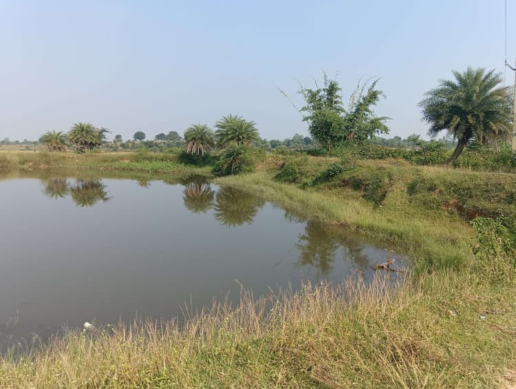Giridih News :गांडेय में गंदगी से पटे हैं छठ घाट