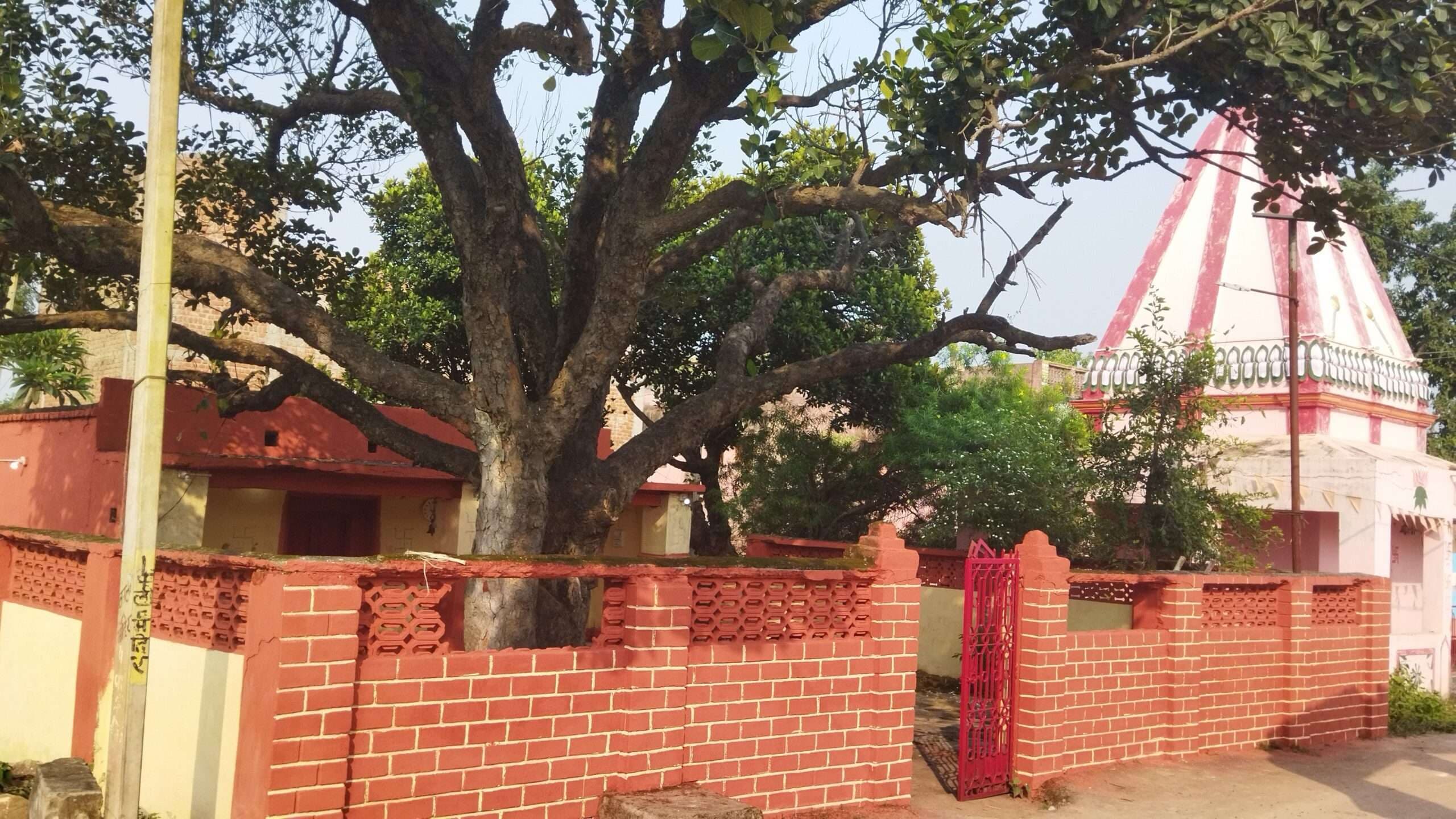 Bokaro news : चास के तिवारीडीह गांव का काली मंदिर आस्था का केंद्र