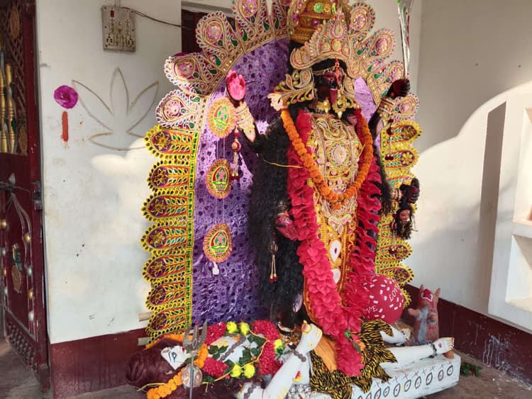 मां काली की पूजा-अर्चना कर सुख-शांति की कामना