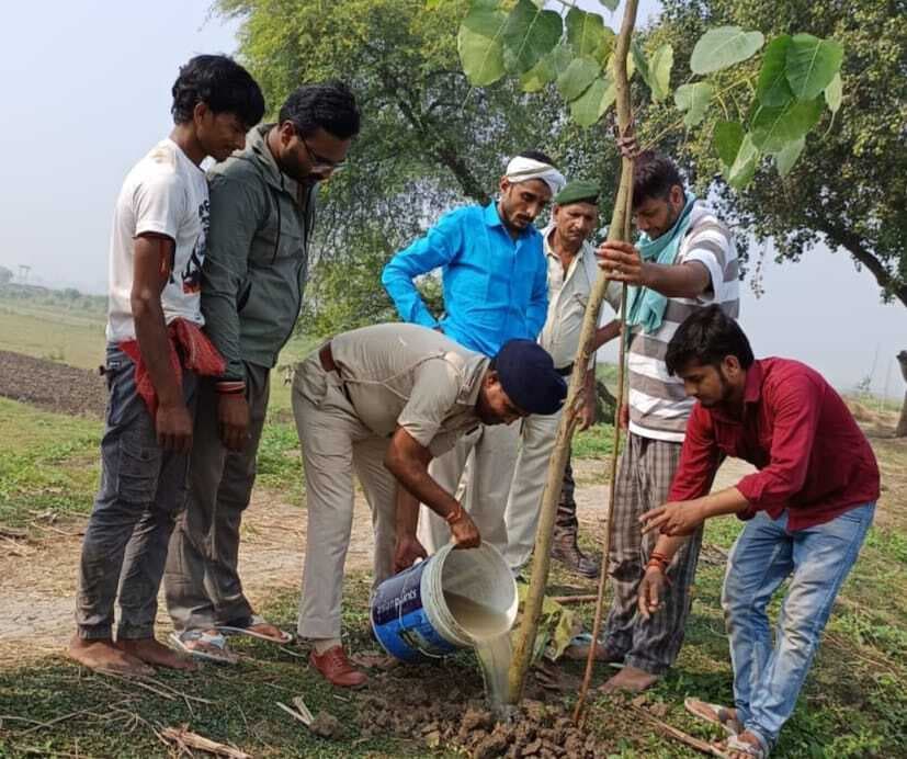 दीपावली पर पर्यावरण संरक्षण के लिए चला सघन पौधरोपण अभियान
