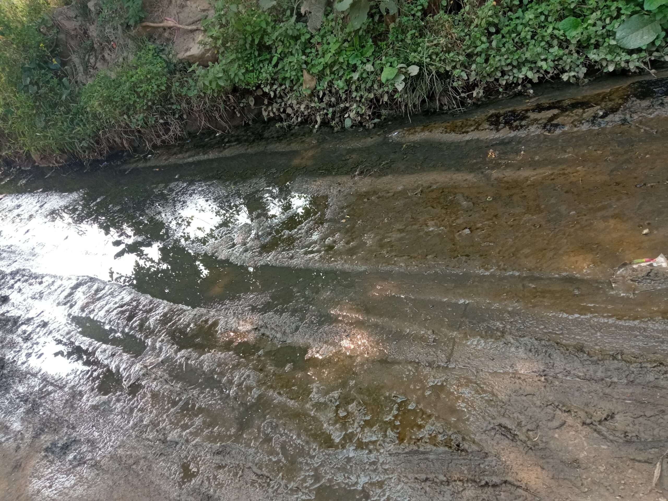 स्वच्छता अभियान के नाम पर हो रही खानापूर्ति