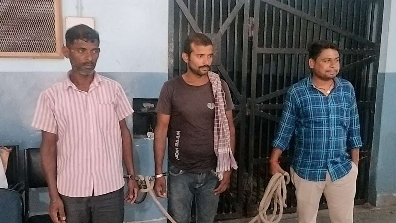 वारंटी दो सहोदर भाई समेत शराबी गिरफ्तार