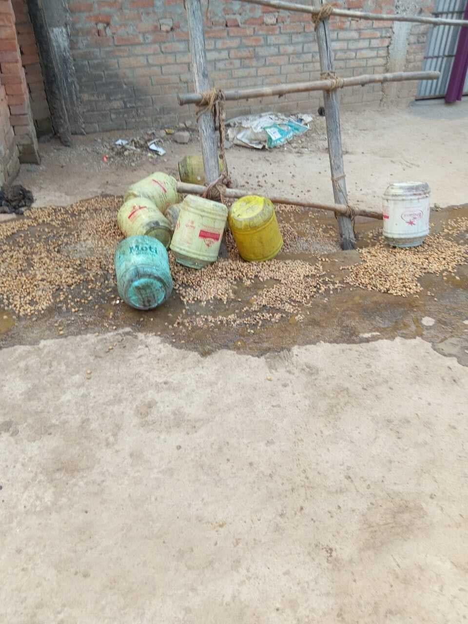 टाली बिशनपुर गांव में पुलिस ने दो सौ लीटर जावा महुआ को किया नष्ट