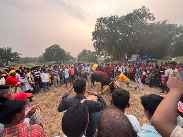 East Singhbhum News : एकता, परंपरा और पशु प्रेम का प्रतीक है बांदना पर्व : ग्रामीण