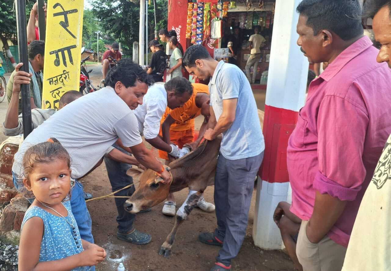 बीमार पशुओं के इलाज में ग्रामीणों व चिकित्सकों ने किया योगदान