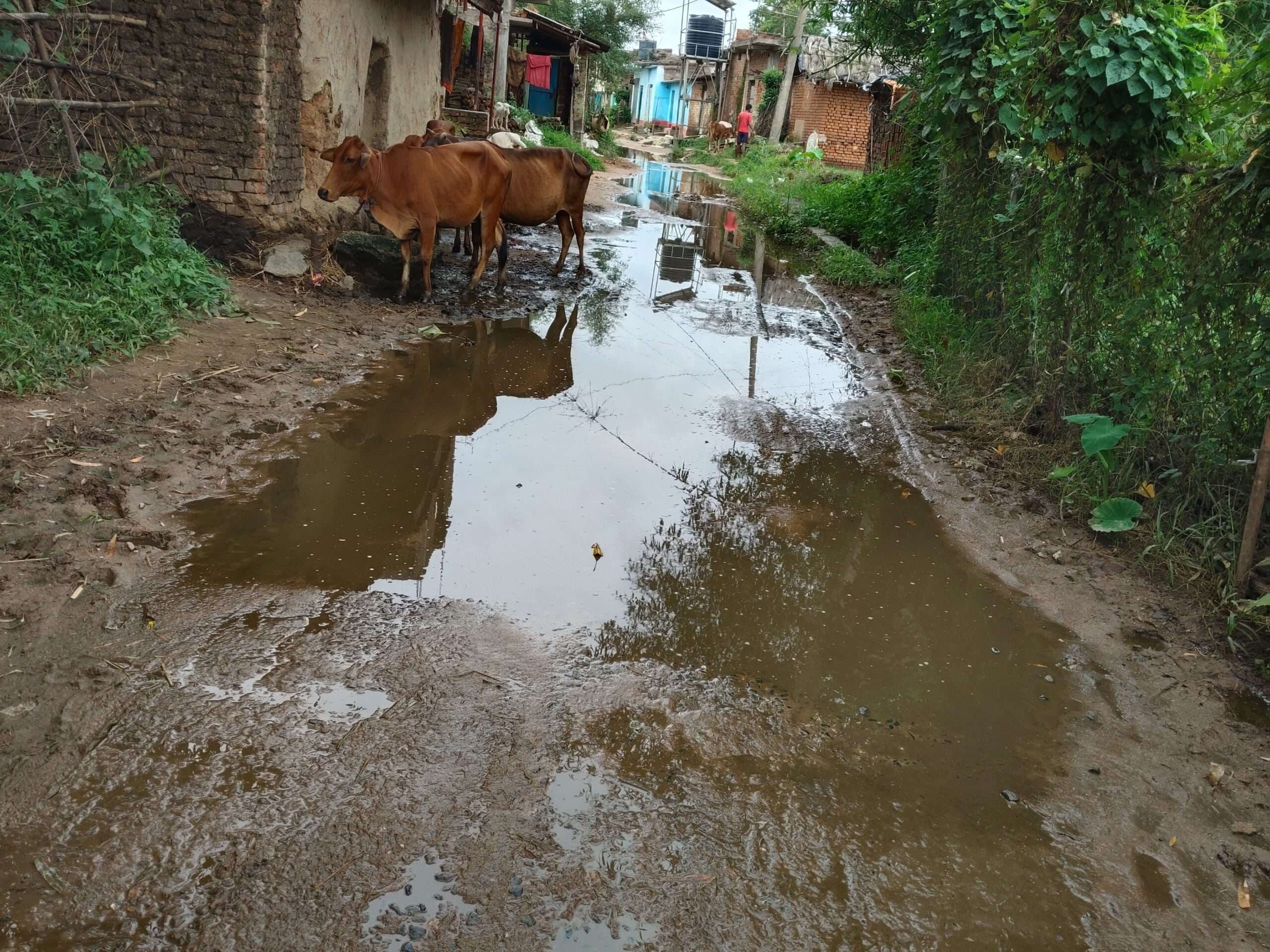 छठ घाट जाने के रास्ते पर बह रहा है गंदा पानी, कैसे पहुंचेंगी व्रती