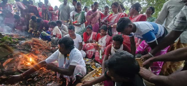 Seraikela Kharsawan News : भाईचारा, प्रेम और प्रकृति के आभार का पर्व है सोहराय