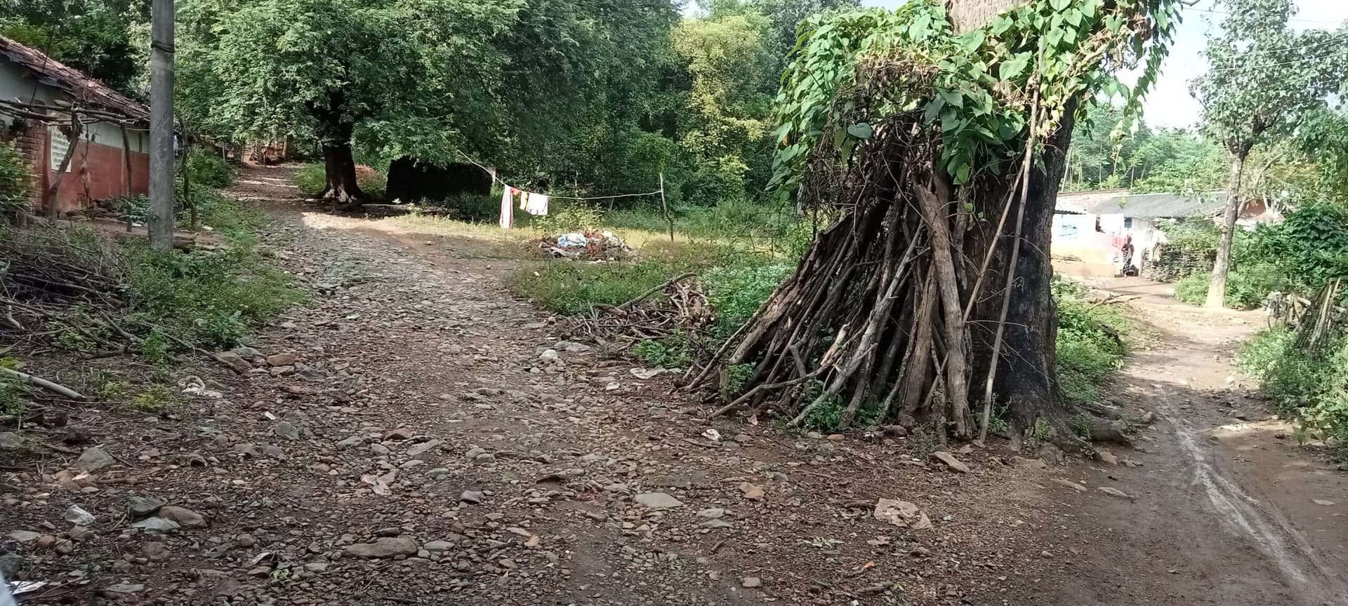 East Singhbhum News : आदिवासी बहुल सालडोहा गांव में आज तक नहीं बनी पक्की सड़क