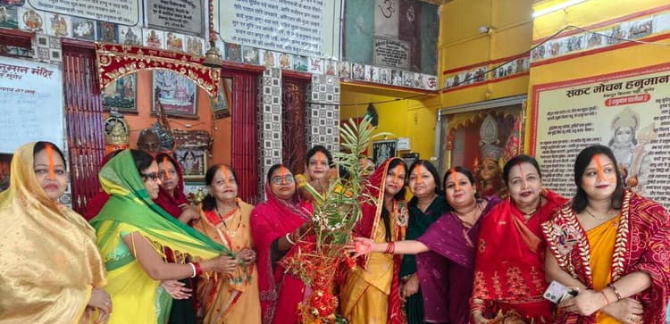 अक्षय नवमी पर आंवला वृक्ष की पूजा करने से भगवान विष्णु व मां लक्ष्मी का मिलता है आशीर्वाद