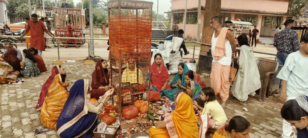 आंवला वृक्ष की पूजा कर महिलाओं ने किया गुप्त दान, मांगा सुख-समृद्धि व दीर्घायु का वरदान