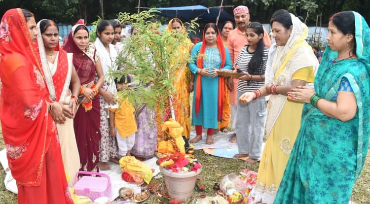 Bokaro News : अक्षय नवमी : आंवला पूजन कर श्रद्धालुओं ने किया सामूहिक भोजन