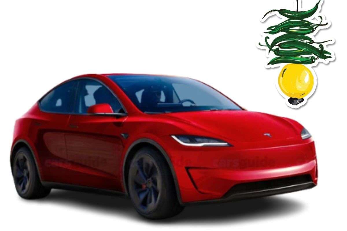 निंबू-मिर्ची के बिना Tesla भी अनसेफ! सोशल मीडिया पर छाया भारतीय अंदाज