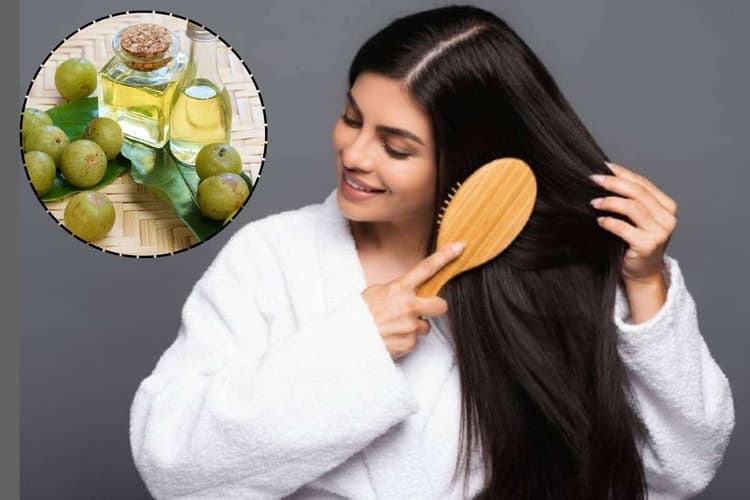 Amla Hair Oil Benefits: बालों को बनाएं मजबूत और चमकदार - जानें आंवला तेल के कमाल के फायदे