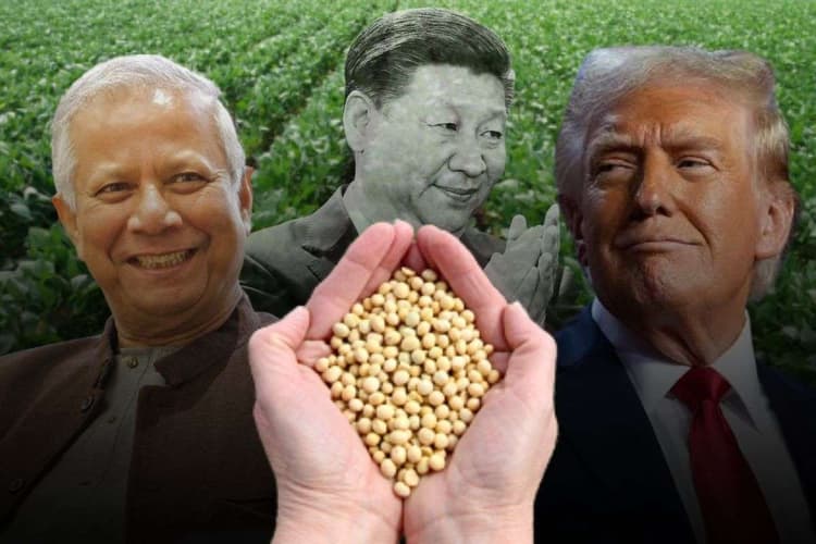 ड्रैगन ने छोड़ा तो ट्रंप को मिला यूनुस का साथ, एक साल में 1 बिलियन डॉलर के सोयाबीन खरीदेंगी बांग्लादेशी कंपनियां