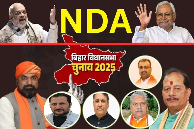 Bihar Election 2025 Result: बिहार के 28 मंत्रियों का क्या हुआ? जिसने लड़ा था विधानसभा का चुनाव
