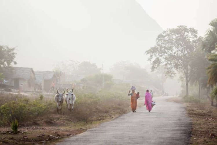 सिर्फ 48 घंटे का इंतजार, बिहार में बढ़ेगी कड़ाके की ठंड, वेस्टर्न डिस्टर्बेंस का दिखेगा असर