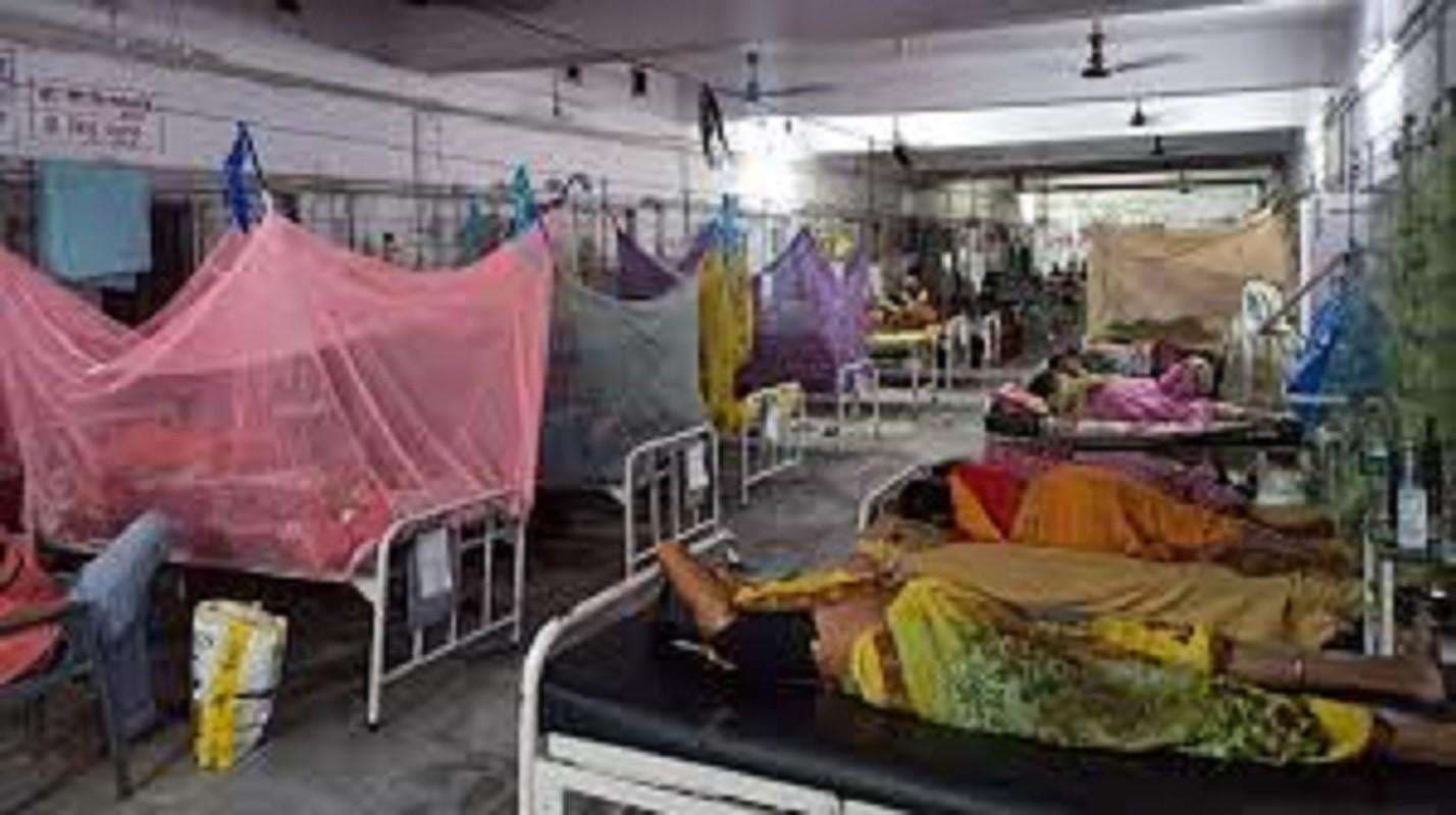 Bihar News: बिहार में डेंगू ने ली एक की जान, पटना में पिछले 24 घंटे में मिले 9 नये मरीज