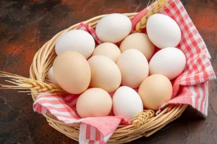 Bihar News: बिहार के लोगों की पहली पसंद बना यहां का अंडा, कीमत भी बढ़ी, जानिए क्या है इसकी वजह