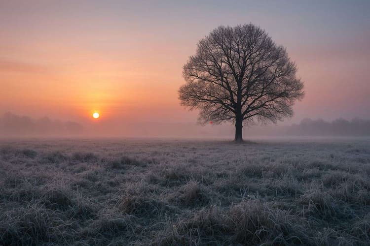 सावधान! 15 नवंबर तक झारखंड में शीतलहर की चेतावनी, सात जिलों के लिए येलो अलर्ट