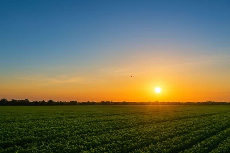 झारखंड में कैसा रहेगा आज का मौसम, क्या पड़ेगी कड़ाके ठंड या होगी बारिश ? पढ़ें वेदर रिपोर्ट