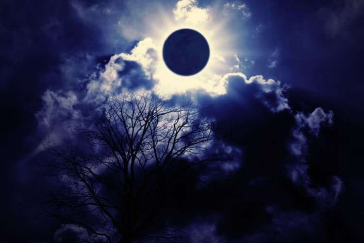 Margashirsha Amavasya 2025: मार्गशीर्ष अमावस्या पर ऐसे करें श्री विष्णु की पूजा