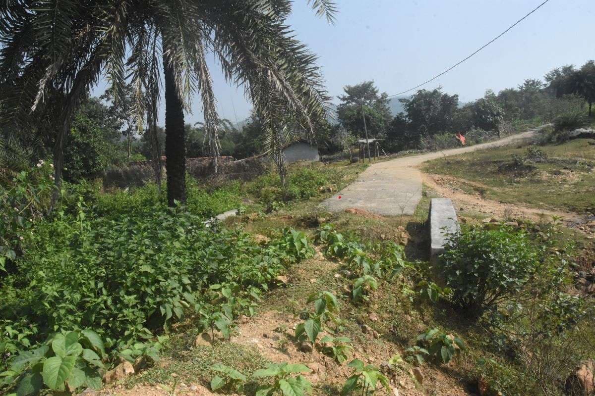 धनबाद के PMGSY की सड़कें बनी ‘धूल वाली सड़क’, शिलापट्ट हटा, काम भी गायब