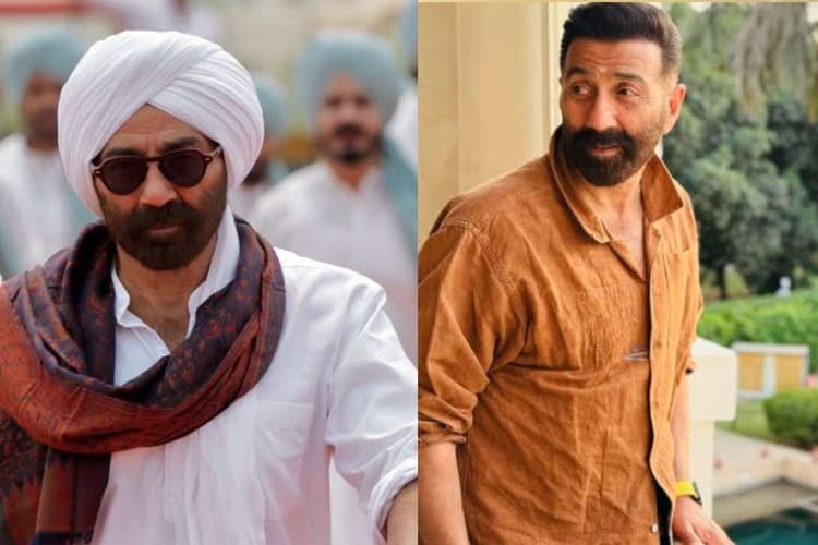 Sunny Deol Net Worth: कितने अमीर हैं सनी देओल? करोड़ों की संपत्ति के हैं मालिक, एक फिल्म के लिए लेते हैं इतनी फीस