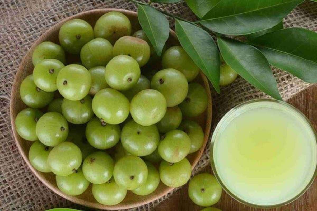How to Preserve Amla | Amla Storage Tips