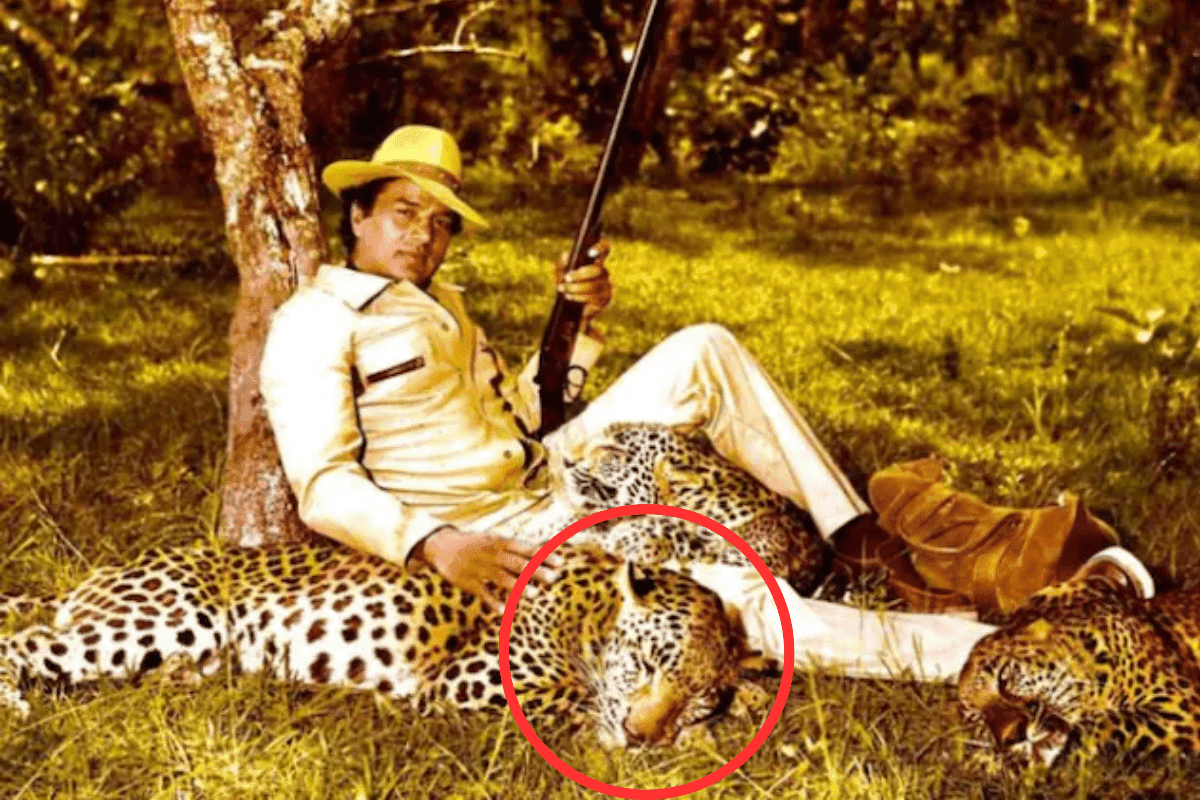 dharmendra death body double stunt danger cheetah dharmendra death body double stunt danger cheetah