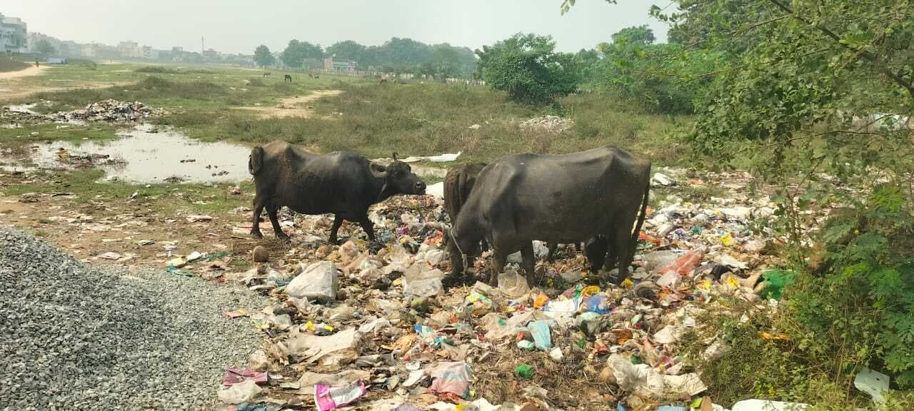 कैसे होंगी चुनावी सभाएं, शहर के हवाई अड्डा मैदान में फैली गंदगी
